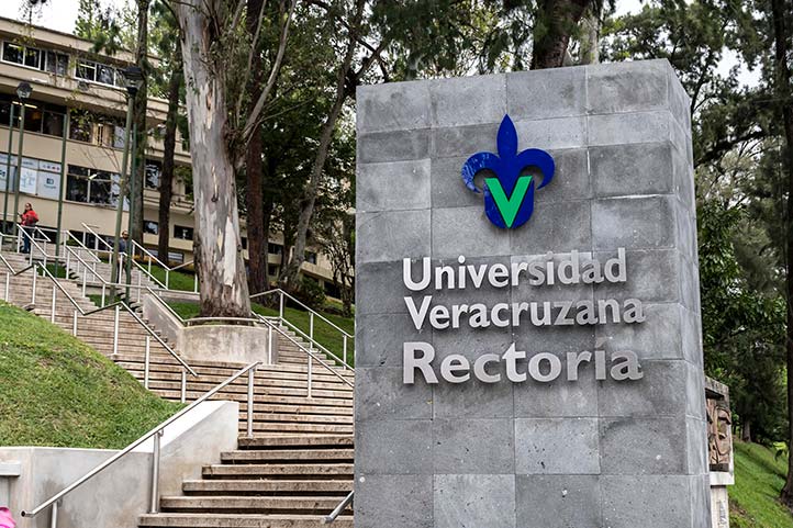 Confirmado: UV mantendrá clases a distancia el próximo ciclo escolar