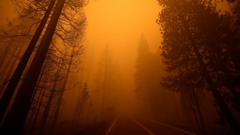 Incendios: las imágenes de la devastación en varias partes de Estados Unidos, Rusia y Grecia