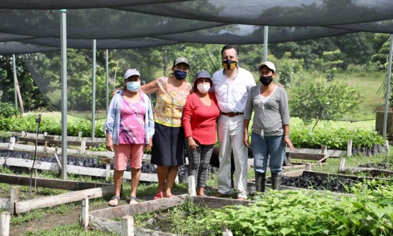 Programa Sembrando Vida genera miles de empleos en zonas rurales de Veracruz: Cuitláhuac