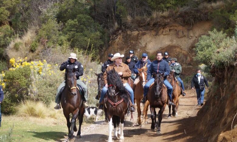 Refuerza SSP y autoridades forestales operativos para proteger Parque Nacional Cofre de Perote