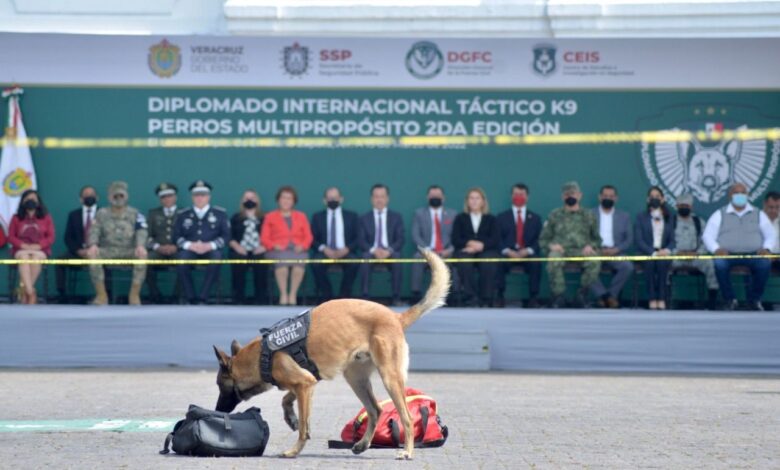 Compañía Canina de Fuerza Civil ha permitido importantes golpes al narcomenudeo: Gobernador