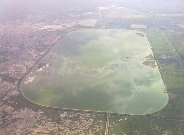 El Lago de Texcoco, donde querían el NAIM, desde hoy será Área Natural Protegida