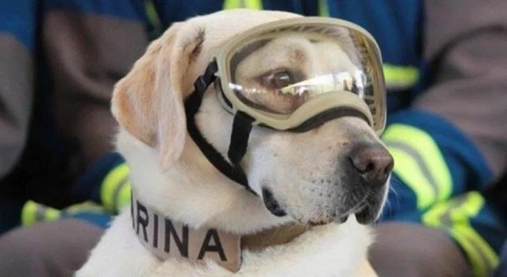 ‘Frida’, una de las heroínas del sismo del 2017, se encuentra delicada de salud