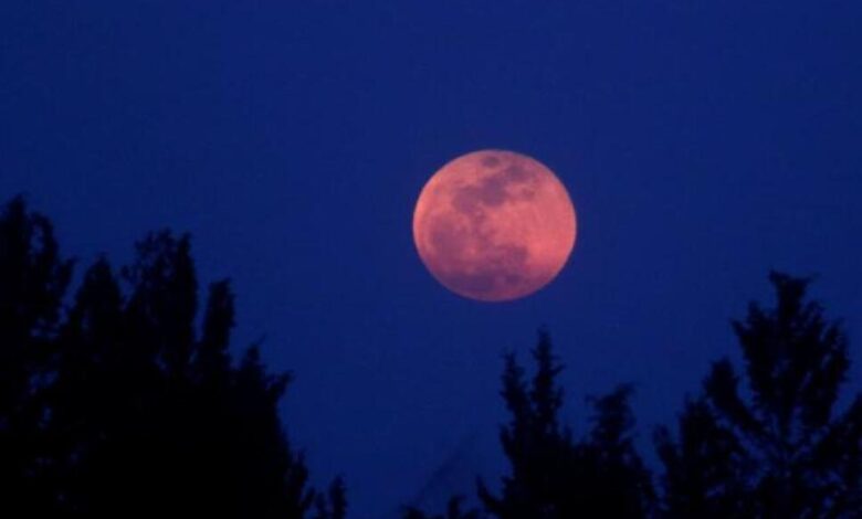 Calendario astronómico de abril, habrá Luna Rosa y lluvia de meteoritos