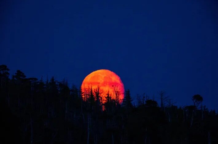 Luna de sangre en México: Cómo y a qué hora ver este fenómeno astronómico