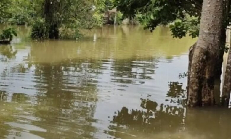 Así se encuentran los niveles de los ríos en Veracruz debido a las lluvias