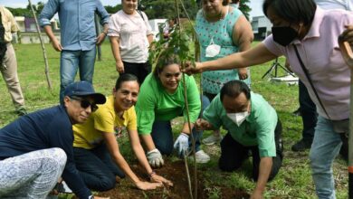 Inicia Córdoba tequios y reforestación de áreas verdes municipales