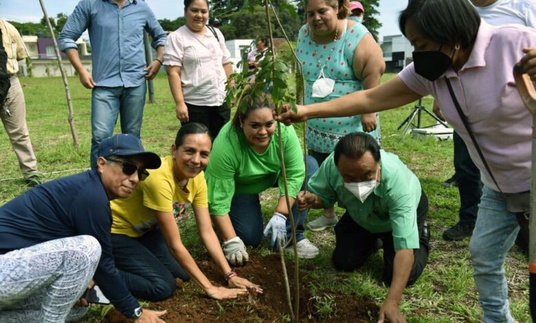 Inicia Córdoba tequios y reforestación de áreas verdes municipales