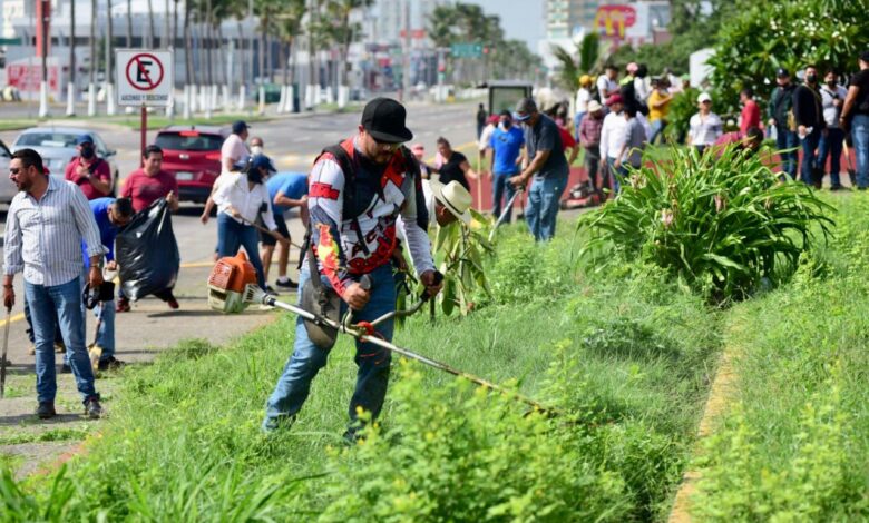 Zenyazen suma esfuerzos a favor del planeta con campaña «Fabriquemos agua reforestando»