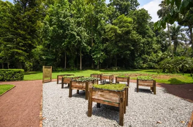 Jardín Botánico reabre sus puertas a visitantes, aquí te decimos cuándo