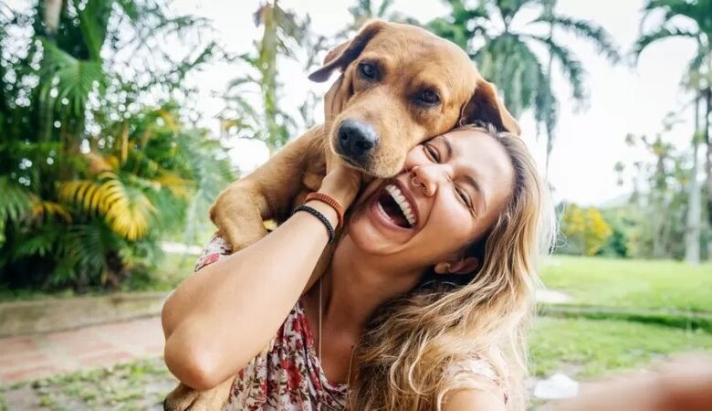 Los perros lloran de alegría cuando se reencuentran con sus dueños, según un nuevo estudio