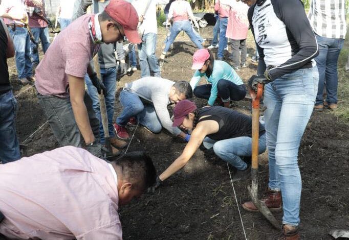 En tequio agrícola, Cuitláhuac y SEDARPA preparan hortalizas para 21 localidades