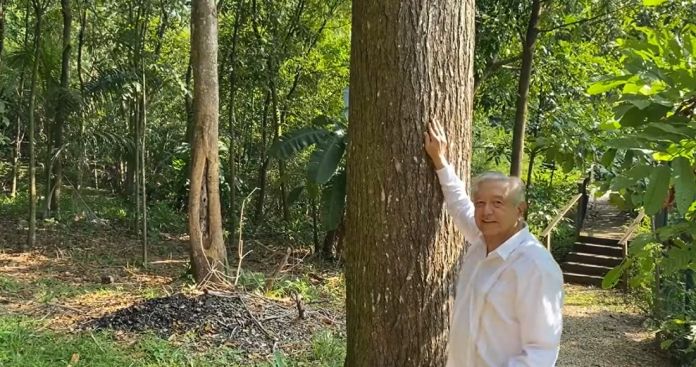 Video | “¡Amor con amor se paga!”: AMLO agradece felicitaciones por su cumpleaños 69