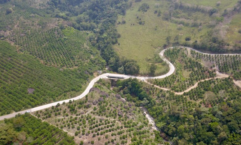 La transformación llegó a la zona rural de Veracruz: Cuitláhuac García