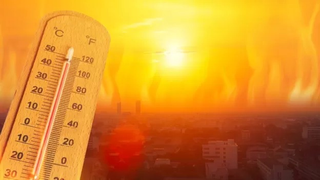 El fenómeno de las olas de calor «estadísticamente imposibles» (y qué regiones están en riesgo de padecerlas)