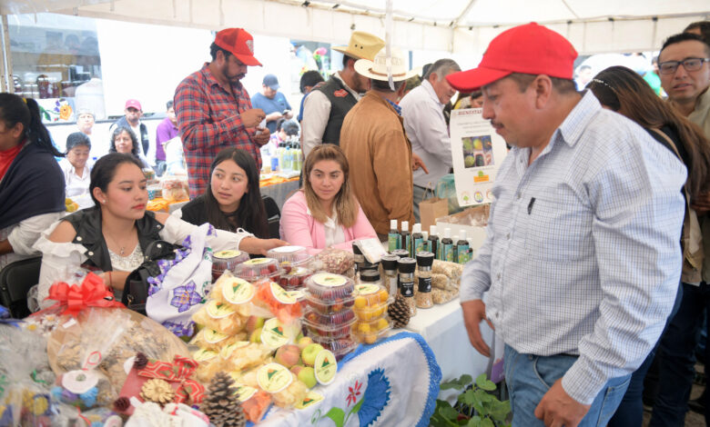 Sembrando Vida en Veracruz es igual a 165 mil hectáreas rescatadas con 214 millones de plantas