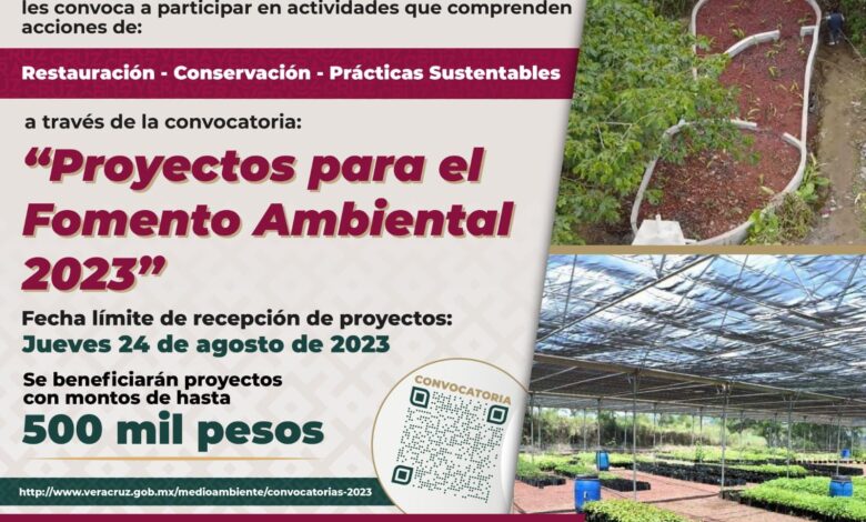 Tienes hasta el 24 para enviar tu propuesta a favor del medio ambiente