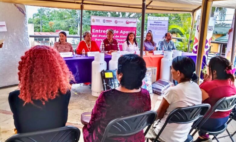 Fortalece Gobierno capacidad económica de mujeres víctimas de violencia