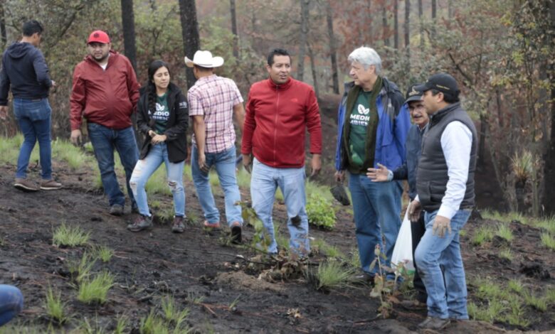 Nueva jornada estatal de reforestación rebasa la meta de 100 mil árboles