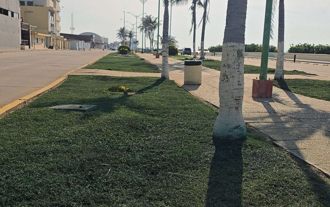 Pintado de césped en el malecón desata críticas; especialistas respaldan su uso como técnica funcional