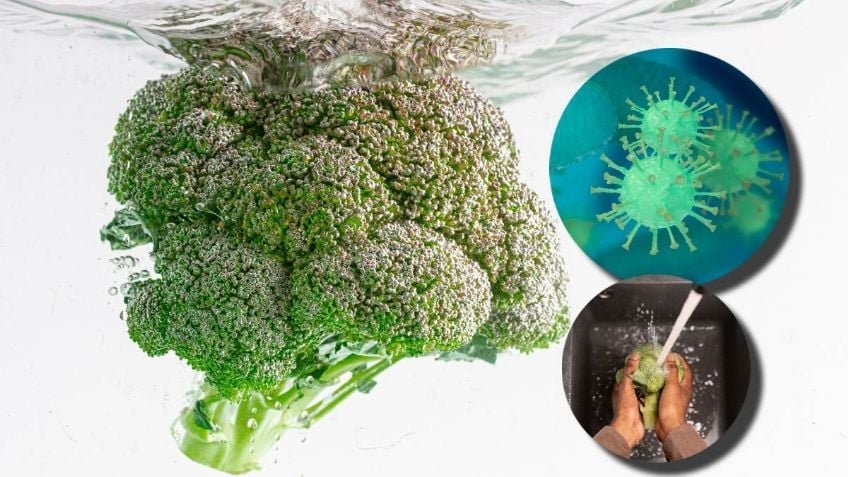 La forma correcta de lavar y desinfectar el brócoli para evitar enfermedades