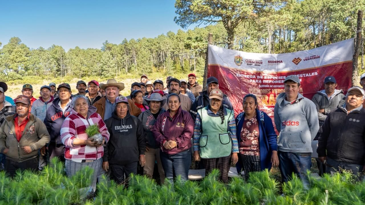 Reforesta Sedema 3.5 hectáreas en el ejido Las Vigas con 3 mil 500 árboles
